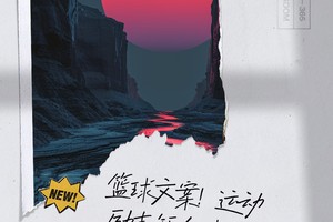 篮球训练苦与乐800字作文?